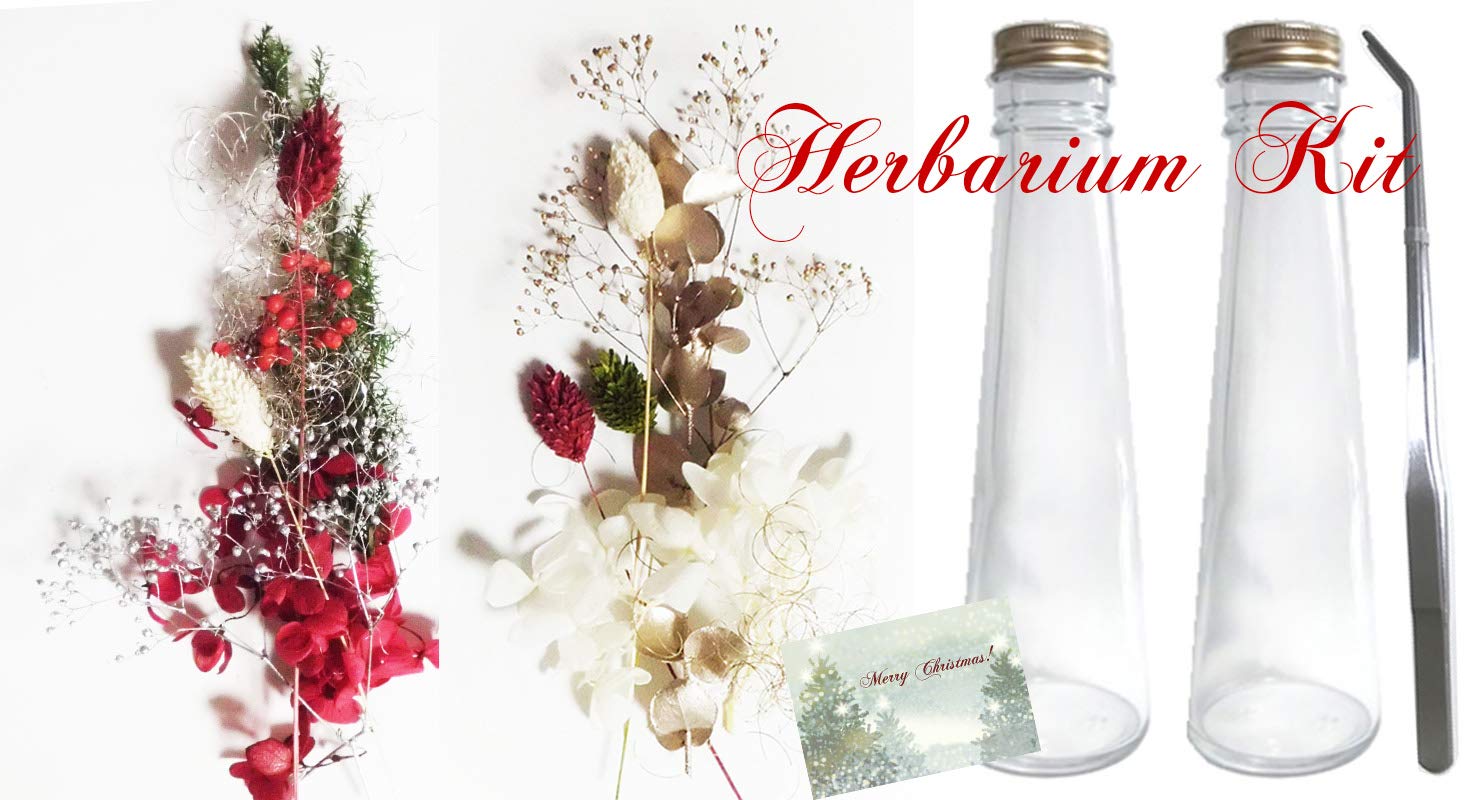 ZEROjr　ハーバリウム　シンプルシリーズ　クリスマス ZEROjr様専用 ハーバリウム シンプルシリーズ クリスマス 2本分